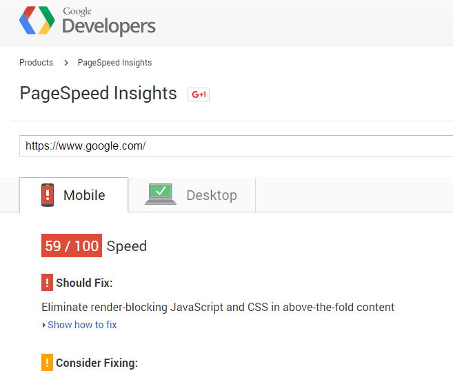 Google Page Speed Fail